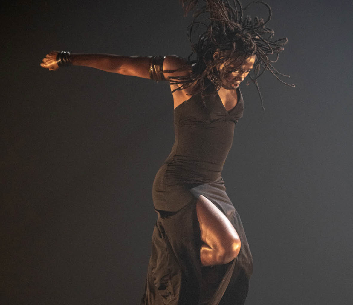 DeLaVallet Bidiefono