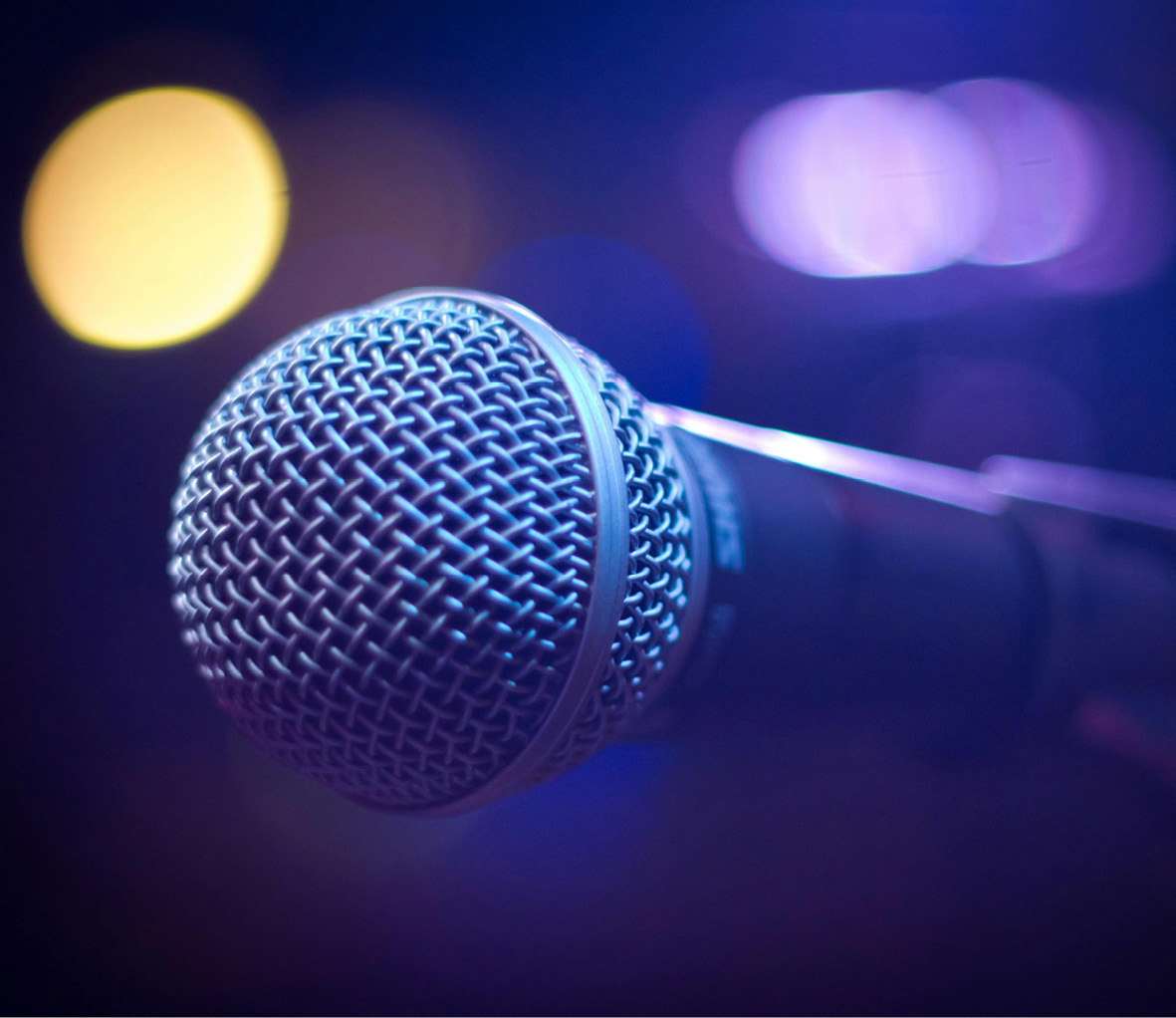 Holder Is my microphone on? Holder Is my microphone on?