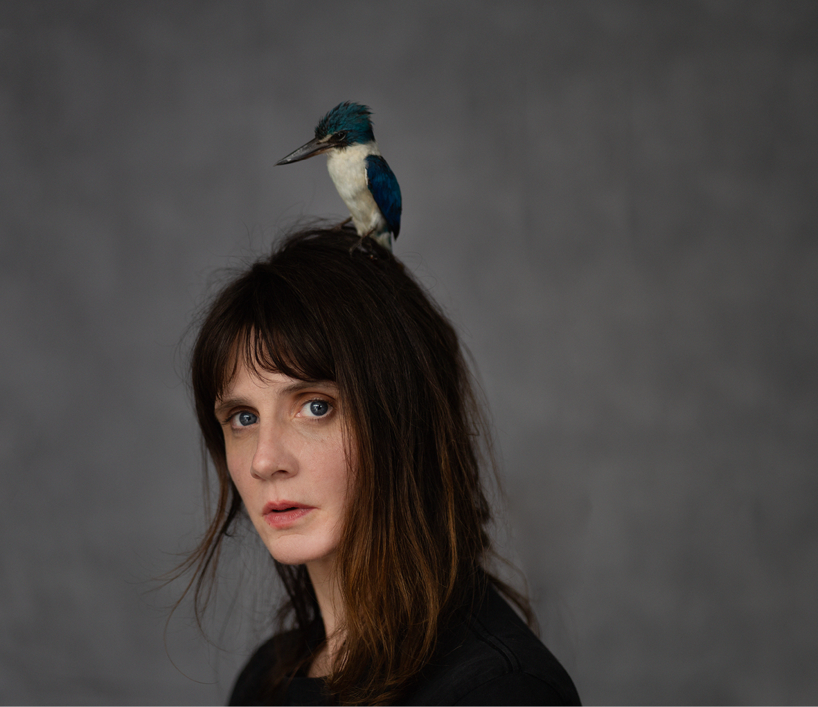 Animal Room (c) Lou Sarda